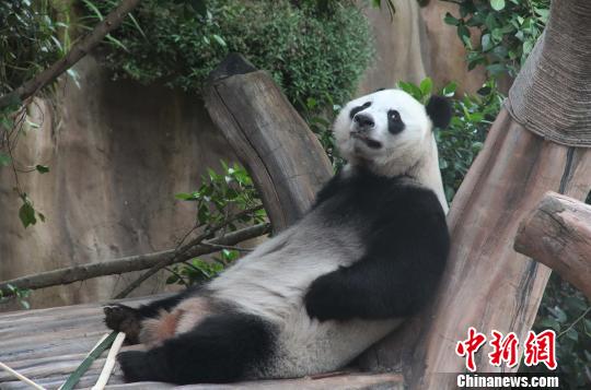 �D�顰���������ژ�����u�ȡ��������� �z