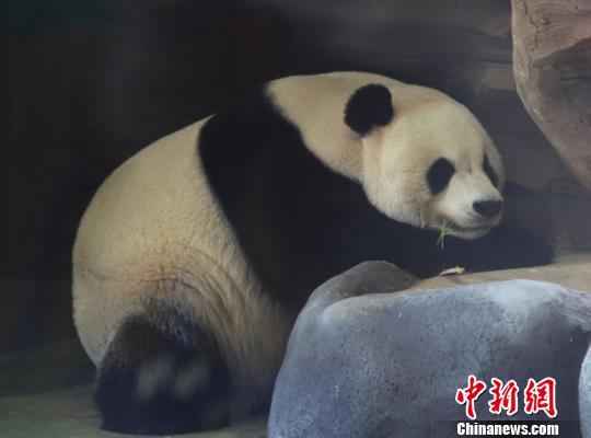 �D�顰���ա��ڴ��˯���������� �z