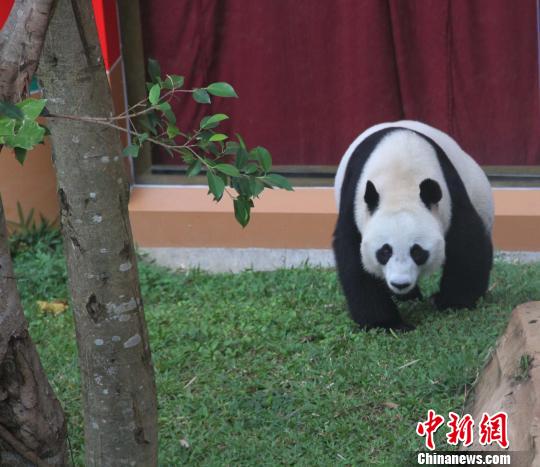 �D�顰������������ɢ������������ �z