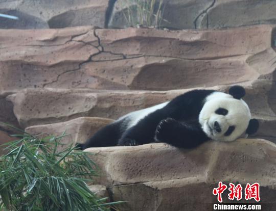 �D�鄂��ġ����ա����u�ȡ��������� �z