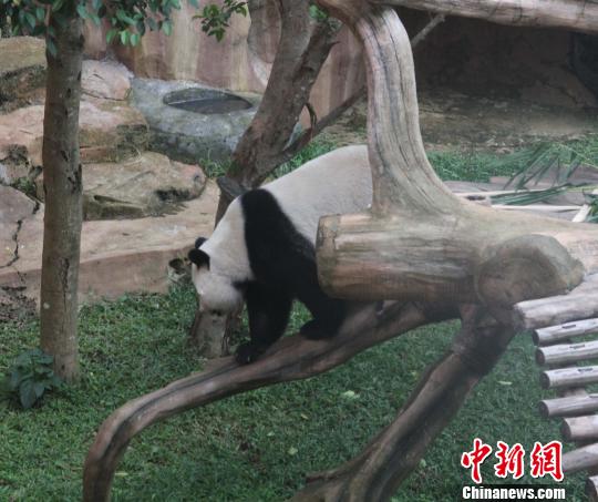 �D�顰�������ߡ���ľ�򡱡��������� �z