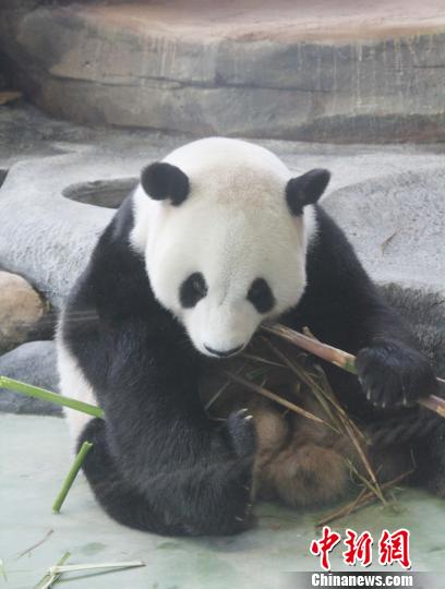 �D�顰���ա��ڳ����ӡ��������� �z