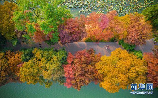 #�������Ї�����1�����ڽ���