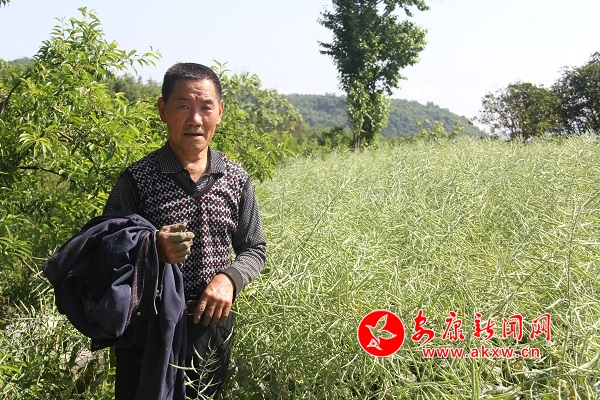 67�q�ď����F�����������e��������Ͳ������������f��ȥ�����µ�600��߀�������������u�������Լ��̓��������ԣ�����̤��