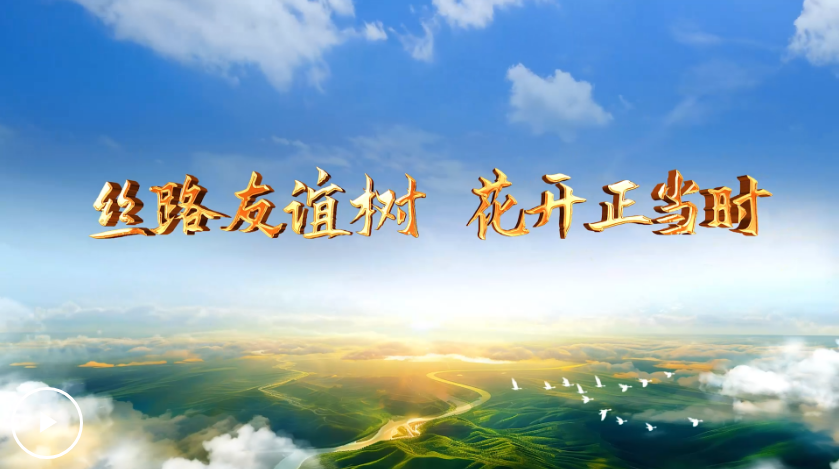 Snipaste_2025-06-12_10-02-42.png
