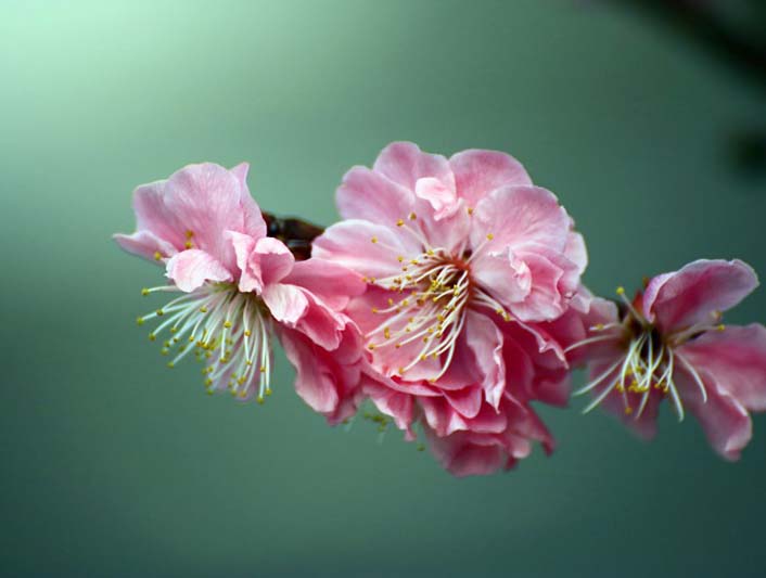 �l����@�ٻ���