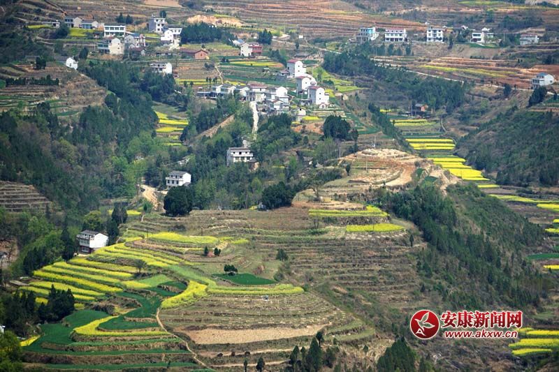 �D2.�����������̎�����ꑸ��أ����߁���ɽ����ɽ����ɽ��������ص�6�N���ε�ò���c�����˷�����Ϣ���@����˂����ò����