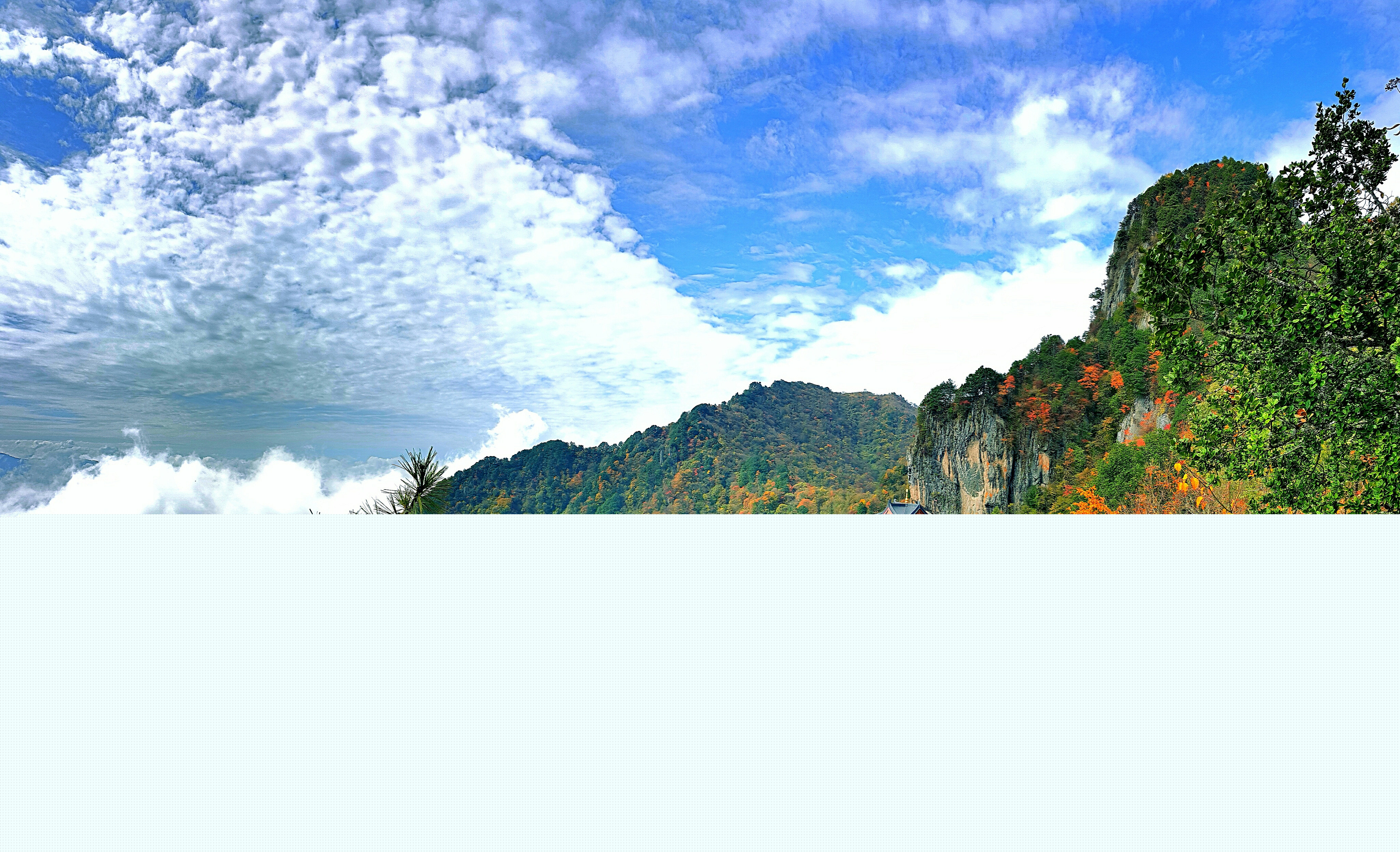 層林盡染擁巍峨